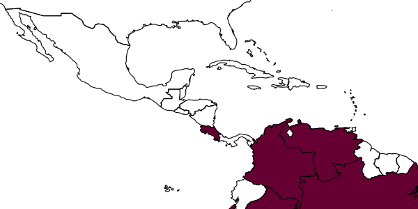 map of Polybia flavifrons  hecuba   Richards, 1951